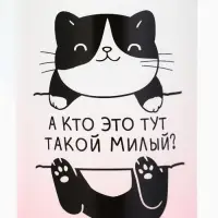 Бутылка для воды пластиковая &laquo;Котя&raquo;, 300 мл