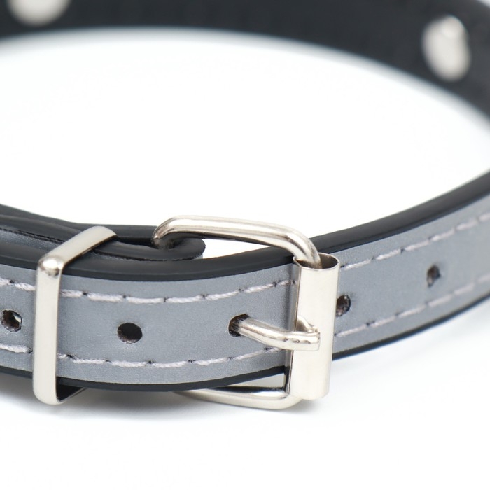 Ошейник с косточками светоотражающий, 37 х 1,3 см, ОШ 26-33, чёрный Ошейник с косточками светоотражающий, 37 х 1,3 см, ОШ 26-33, чёрный