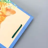 Пакет подарочный ламинированный &laquo;Котик&raquo; 11.5&times;14.5&times;6.5 см