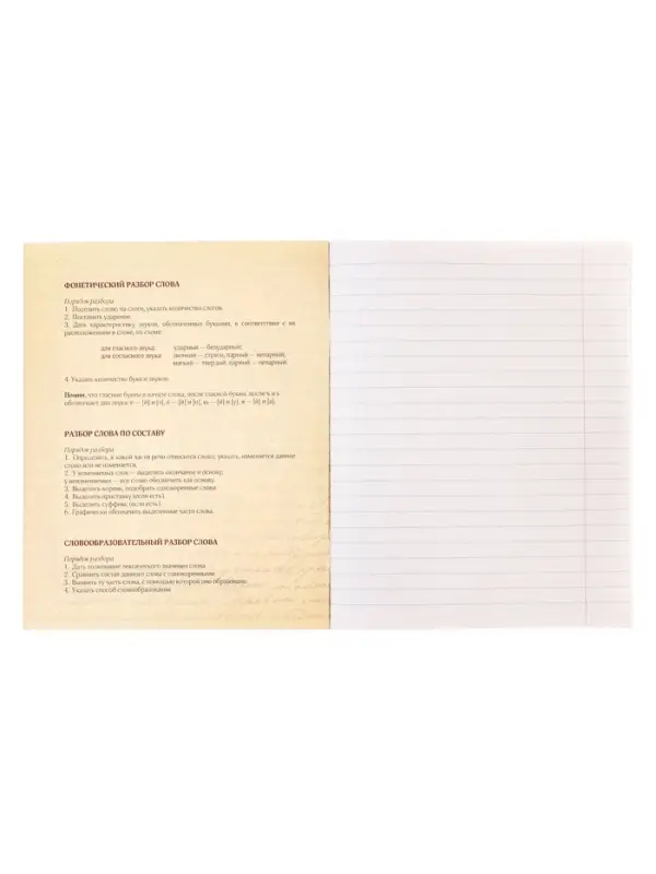 Предметная тетрадь по русскому языку Calligrata &laquo;СуперНеон&raquo;, 48 листов, в линейку, со справочным материалом, обложка из мелованного картона