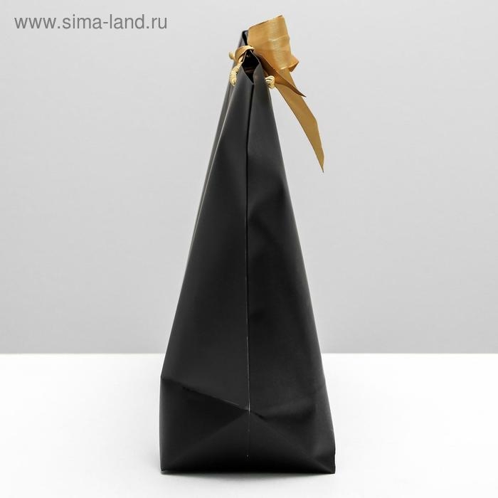 Пакет подарочный, упаковка, Present, 33 х 31 х 13 см Пакет подарочный, упаковка, Present, 33 х 31 х 13 см