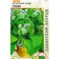 Семена Огуречная трава "Гном" 0,5 г Семена Огуречная трава "Гном" 0,5 г
