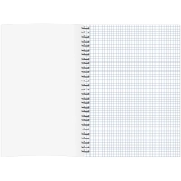 Тетрадь общая А4 48л,клет,спир,обл.карт. Concept