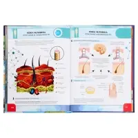 Большая энциклопедия 4D в дополненной реальности, 256 стр.