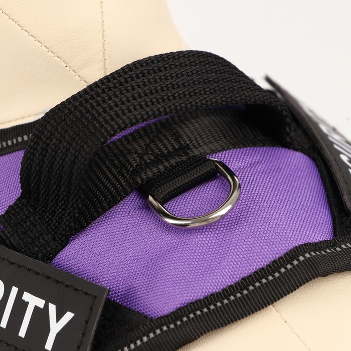 Шлейка К9 мягкая светоотражающая, размер ХS, ОГ 38-50 см, вес 3-6 кг, фиолетовая Шлейка К9 мягкая светоотражающая, размер ХS, ОГ 38-50 см, вес 3-6 кг, фиолетовая