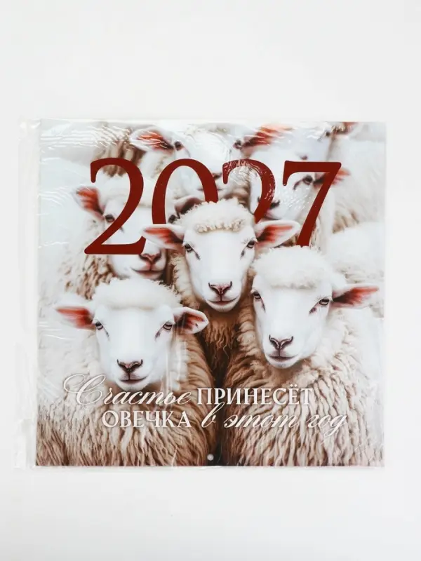 Календарь 2027 перекидной на скрепке 6 листов 29&times;29, &laquo;Символ года&raquo;