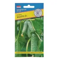 Семена Огурец &laquo;Бьерн&raquo;, F1, 5 шт., &laquo;Престиж семена&raquo;