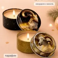 Свеча ароматическая, в железной банке, набор 2 шт.&laquo;Символ года 2027&raquo; мандарин и ваниль