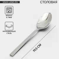 Ложка столовая &laquo;Тайфун&raquo;, длина 19.5 см, нержавеющая сталь, серебристая