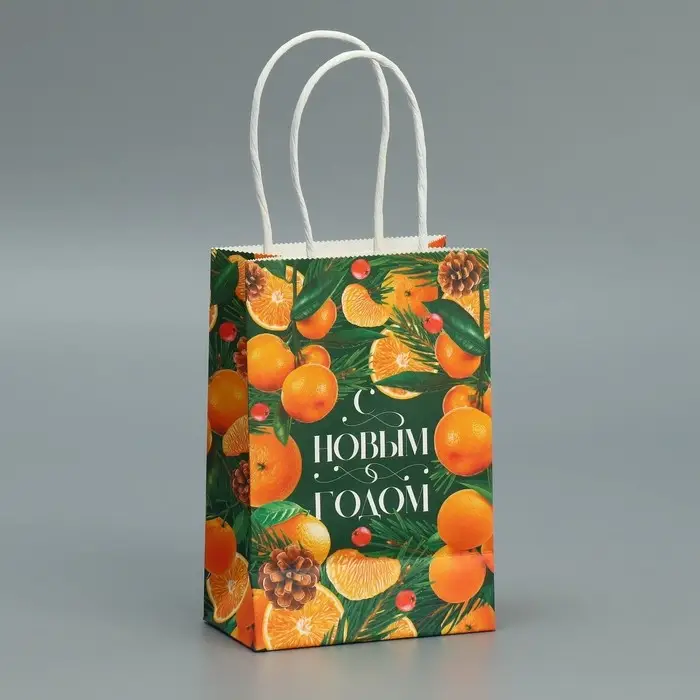 Пакет подарочный новогодний крафтовый «Мандариновое настроение», 15 х 10 х 6 см Пакет подарочный новогодний крафтовый «Мандариновое настроение», 15 х 10 х 6 см