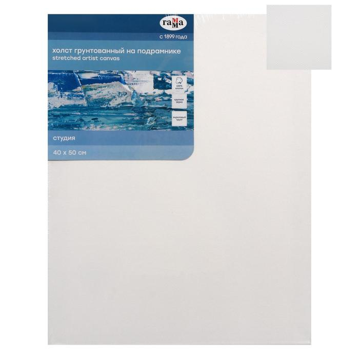 Холст на подрамнике, хлопок 100%, акриловый грунт, 2 х 40 х 50 см, 400 г/м2, крупное зерно, Гамма Холст на подрамнике, хлопок 100%, акриловый грунт, 2 х 40 х 50 см, 400 г/м2, крупное зерно, Гамма "Студия"