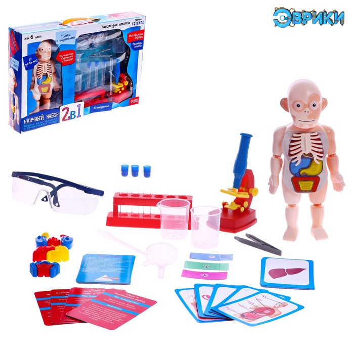 Набор для опытов «Научный набор 2В1», модель тела человека и лабораторная посуда Набор для опытов «Научный набор 2В1», модель тела человека и лабораторная посуда