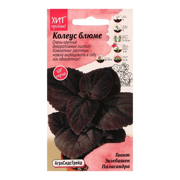 Семена цветов Колеус блюме  Семена цветов Колеус блюме "Гиант Экзебишен Палисандра", 10 шт