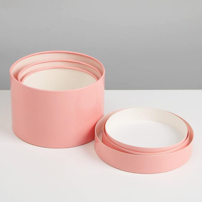 Набор шляпных коробок 3 в 1 розовый, упаковка подарочная, 16 х 10, 14 х 9, 13 х 8,5 см Набор шляпных коробок 3 в 1 розовый, упаковка подарочная, 16 х 10, 14 х 9, 13 х 8,5 см