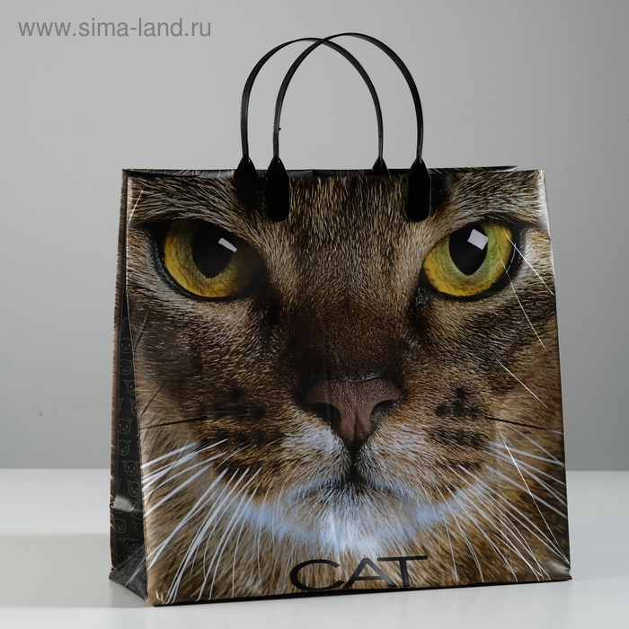 Пакет Пакет "Кэт", мягкий пластик, 30 х 30 см, 150 мкм