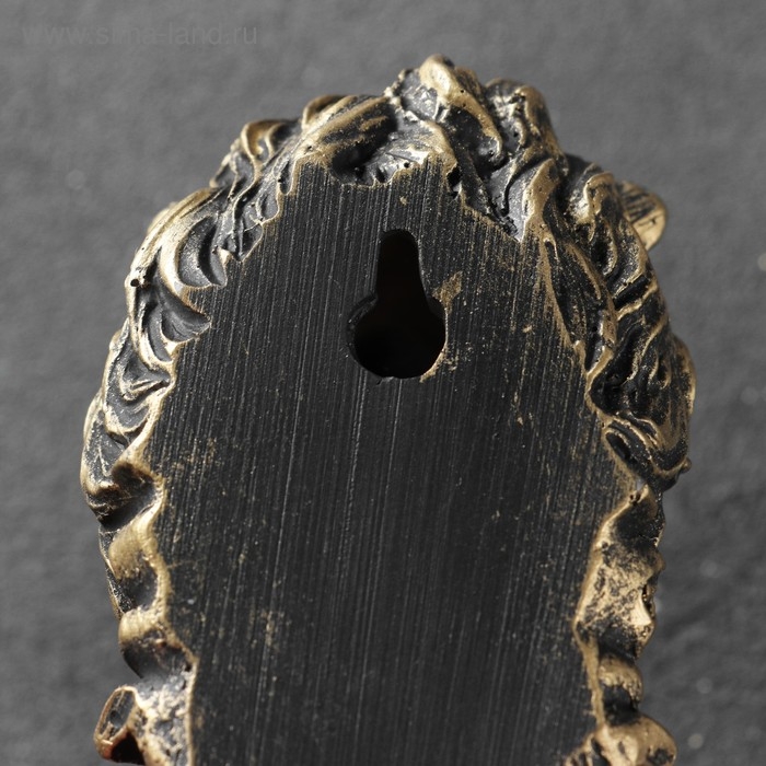 Крючок фигурный Крючок фигурный "Лев" бронза 6х6х12см