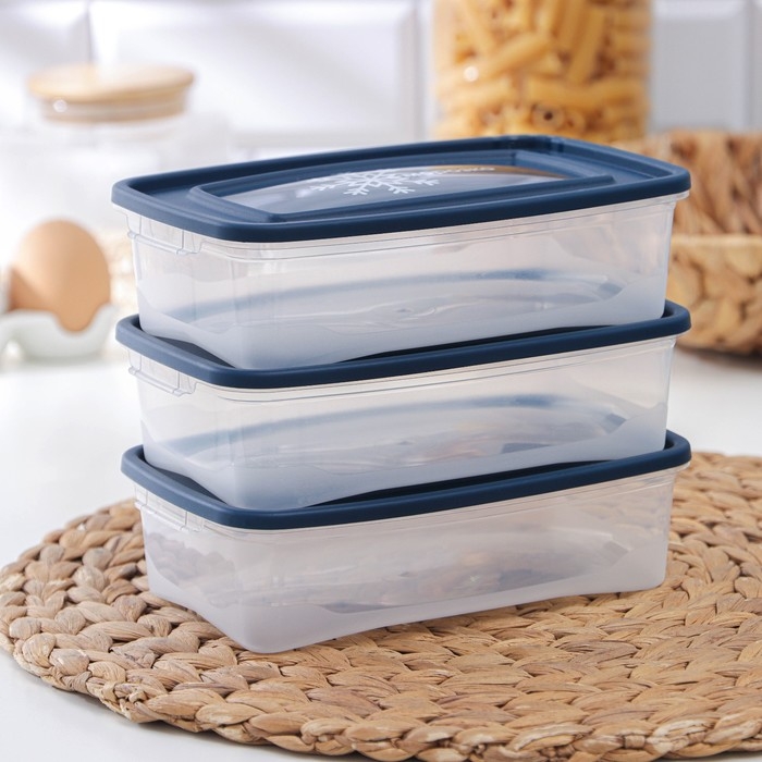 Набор контейнеров для замораживания продуктов «Морозко», 3 шт, 700 мл, цвет прозрачный, крышки МИКС Набор контейнеров для замораживания продуктов «Морозко», 3 шт, 700 мл, цвет прозрачный, крышки МИКС