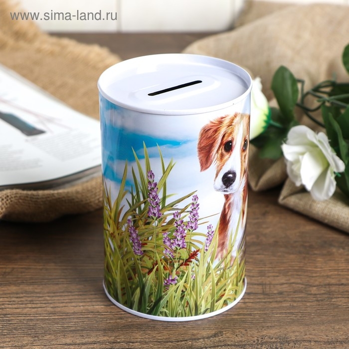 Копилка металл банка Копилка металл банка "Собаки и кошки" МИКС 12х8х8 см