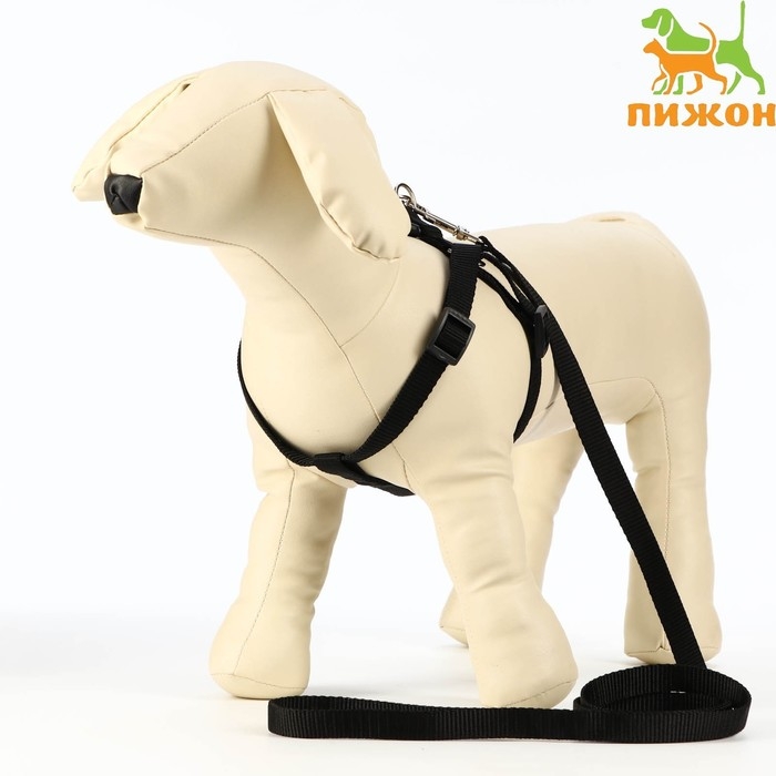 Комплект  Комплект "Базис", поводок 120 х 1,5 см, шлейка 32-46 х 1,5 см, чёрный