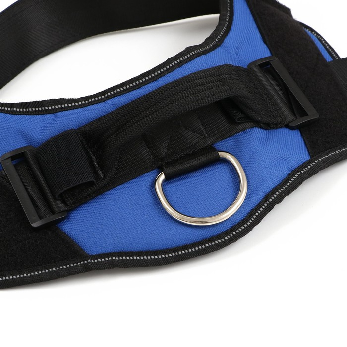 Шлейка К9 мягкая светоотражающая, размер L, ОГ 68-80 см, вес 17,5-32,5 см, синяя Шлейка К9 мягкая светоотражающая, размер L, ОГ 68-80 см, вес 17,5-32,5 см, синяя