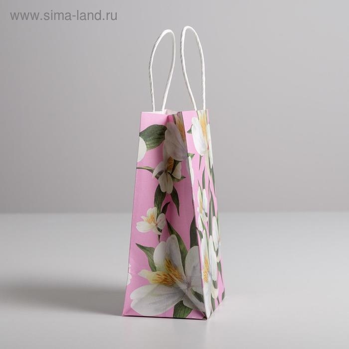 Пакет подарочный крафт, упаковка, «С 8 марта», 12 х 21 х 9 см Пакет подарочный крафт, упаковка, «С 8 марта», 12 х 21 х 9 см