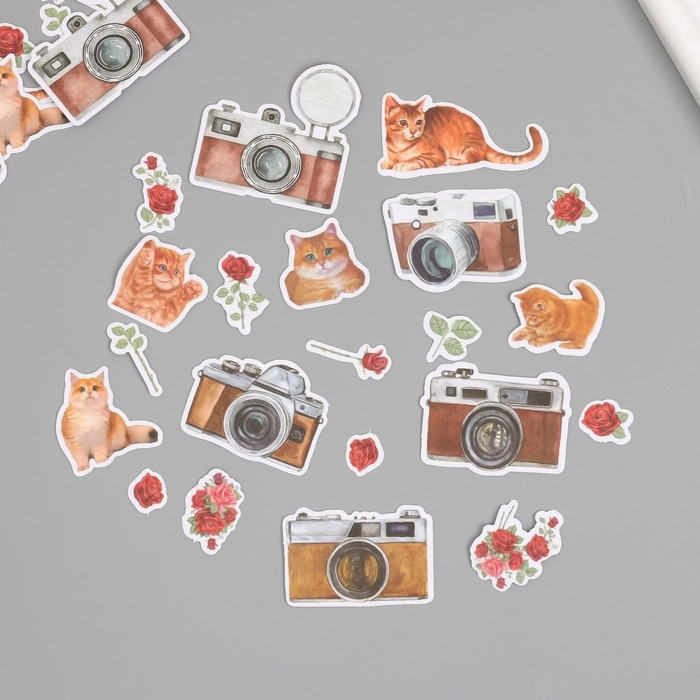 Наклейки для творчества Наклейки для творчества "Коты, красные розы и фото" 3,5х5 см набор 40 шт 9,4х8,4х0,5 см