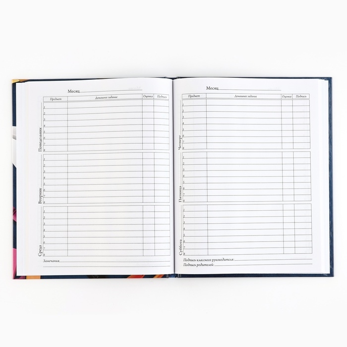 Дневник школьный 5-11 класс, в твердой обложке, 48 л. «Школьные принадлежности» Дневник школьный 5-11 класс, в твердой обложке, 48 л. «Школьные принадлежности»