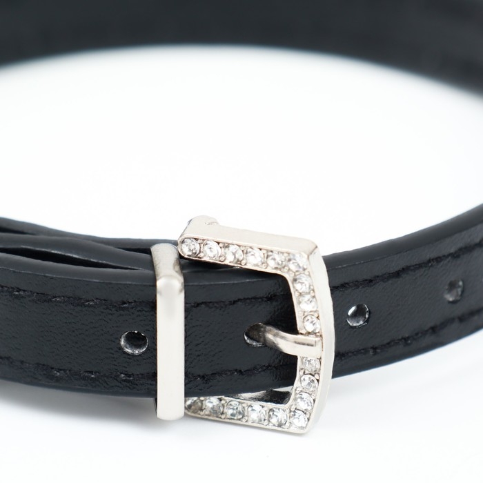 Ошейник со стразами в 4 ряда и стразы на пряжке, 38 х 1,5 см, ОШ 26-33, чёрный Ошейник со стразами в 4 ряда и стразы на пряжке, 38 х 1,5 см, ОШ 26-33, чёрный