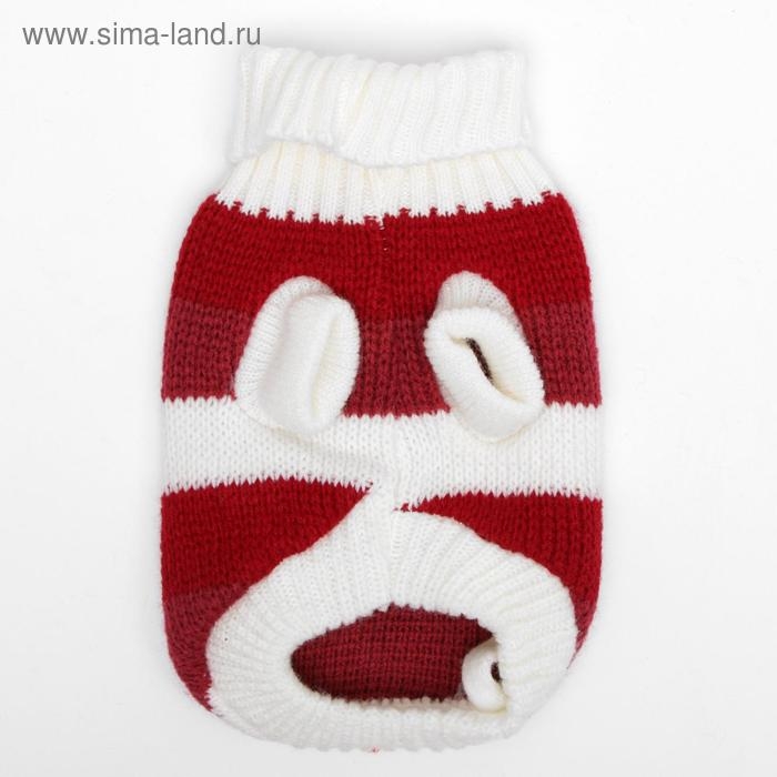 Свитер, размер 6 (24-28 см), микс расцветок Свитер, размер 6 (24-28 см), микс расцветок