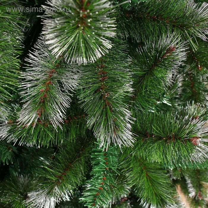 Ёлка  Ёлка "Волшебство" 270 см d нижнего яруса 150 см 1963 ветки