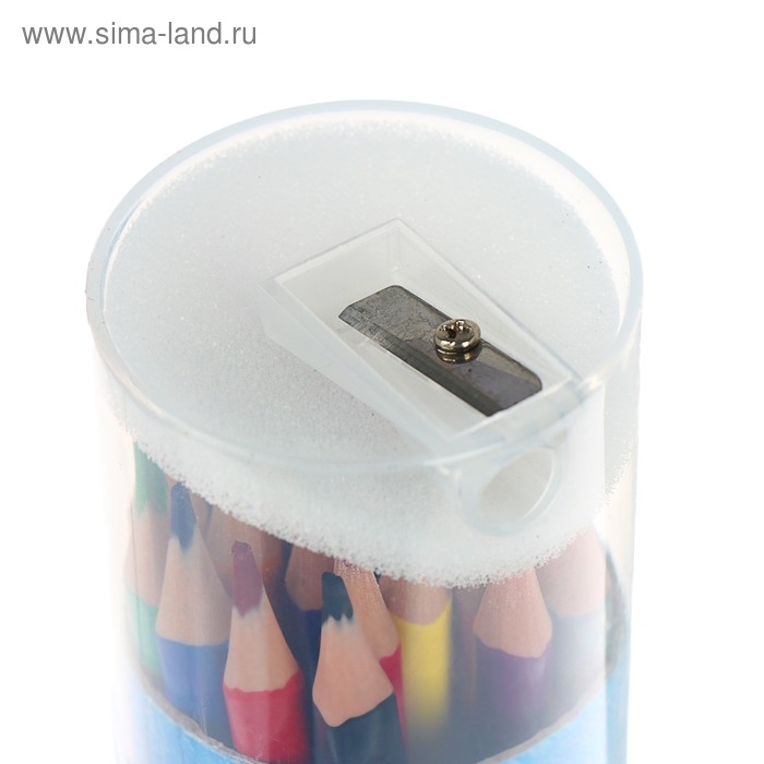 Карандаши цветные 24 цвета Funcolor пластиковые, в картонной тубе, МИКС Карандаши цветные 24 цвета Funcolor пластиковые, в картонной тубе, МИКС