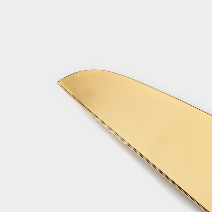 Набор для торта Goldy, 2 предмета: нож длина 27 см, лопатка длина 25 см, цвет золотой Набор для торта Goldy, 2 предмета: нож длина 27 см, лопатка длина 25 см, цвет золотой