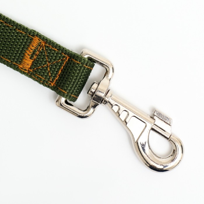 Поводок двухслойный с усиленным карабином, 3 м х 2,5 см, зелёный Поводок двухслойный с усиленным карабином, 3 м х 2,5 см, зелёный