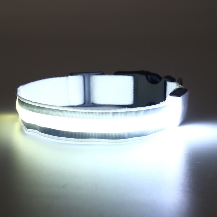 Ошейник с подсветкой Двойная полоса размер XL, ОШ 52-60 х 2,5 см, 3 режима свечения белый Ошейник с подсветкой Двойная полоса размер XL, ОШ 52-60 х 2,5 см, 3 режима свечения белый