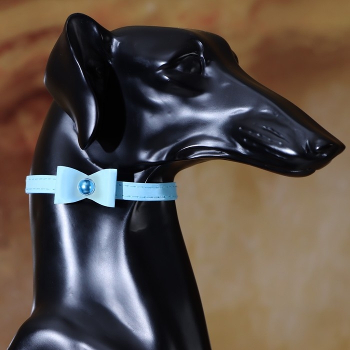 Ошейник Ошейник "Сияние" с бусиной и бубенчиком, 29 х 1 см, ОШ 21-26, голубой