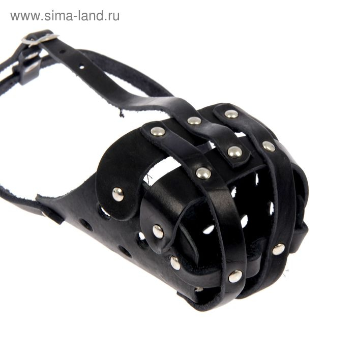 Намордник кожаный цельнокроенный питбультерьер, ДН 8 см, ОМ 30 см, чёрный Намордник кожаный цельнокроенный питбультерьер, ДН 8 см, ОМ 30 см, чёрный