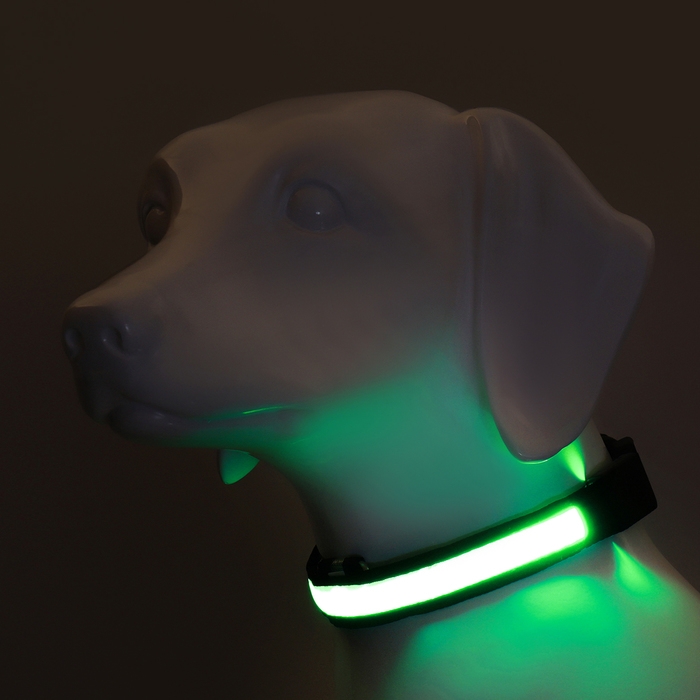 Ошейник с подсветкой Flash 3 режима свечения, размер XL, ОШ 52-60 х 2,5 см зелёный Ошейник с подсветкой Flash 3 режима свечения, размер XL, ОШ 52-60 х 2,5 см зелёный