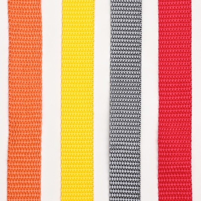 Поводок капроновый цветной Зооник, 3 м х 2 см, микс цветов Поводок капроновый цветной Зооник, 3 м х 2 см, микс цветов