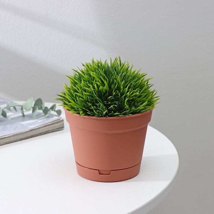 Горшок для цветов с поддоном Mint, 700 мл, d=12 см, h=9,4 см, цвет терракотовый Горшок для цветов с поддоном Mint, 700 мл, d=12 см, h=9,4 см, цвет терракотовый