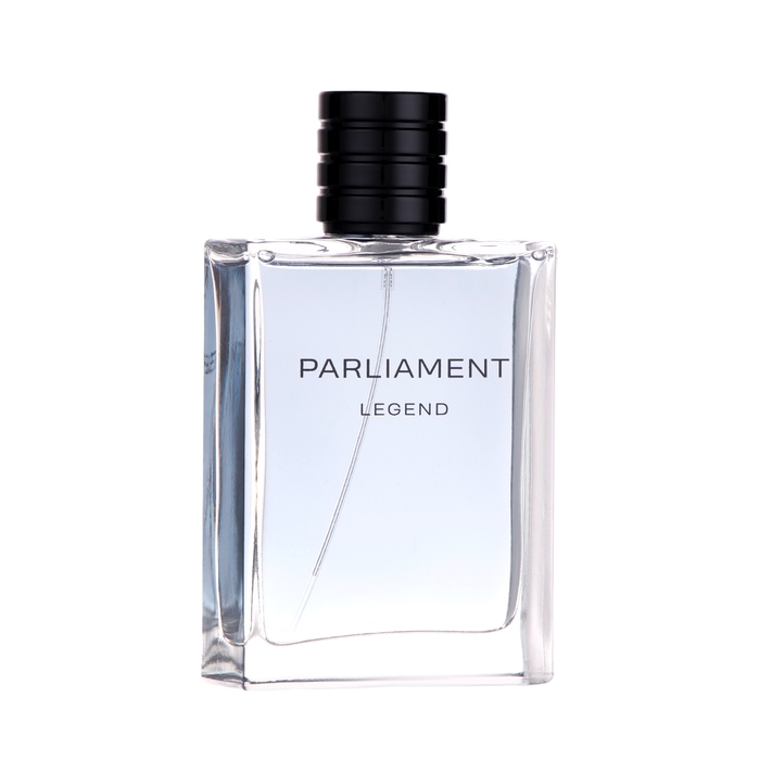 Туалетная вода мужская Parliament Туалетная вода мужская Parliament "Legend", 100 мл