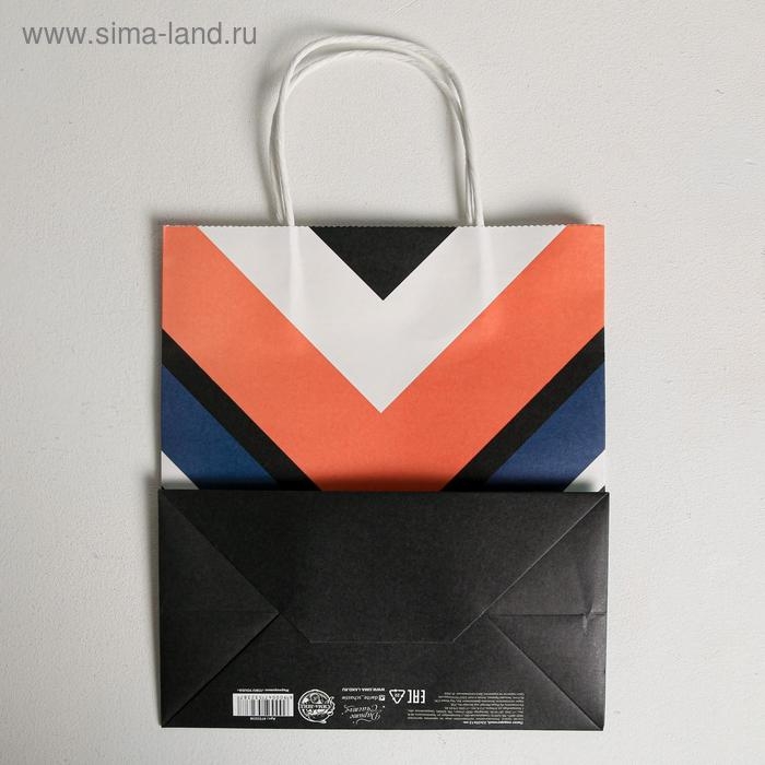 Пакет подарочный крафтовый, упаковка, Present, 22 х 25 х 12 см Пакет подарочный крафтовый, упаковка, Present, 22 х 25 х 12 см