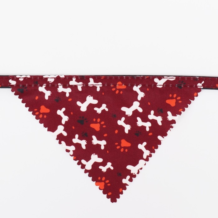 Ошейник с косынкой Ошейник с косынкой "Яркая жизнь", 32 х 1 см, бордовый