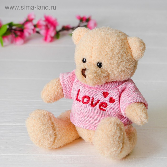 Мягкая игрушка «Медведь», 20 см, кофточка с надписью, цвета МИКС Мягкая игрушка «Медведь», 20 см, кофточка с надписью, цвета МИКС
