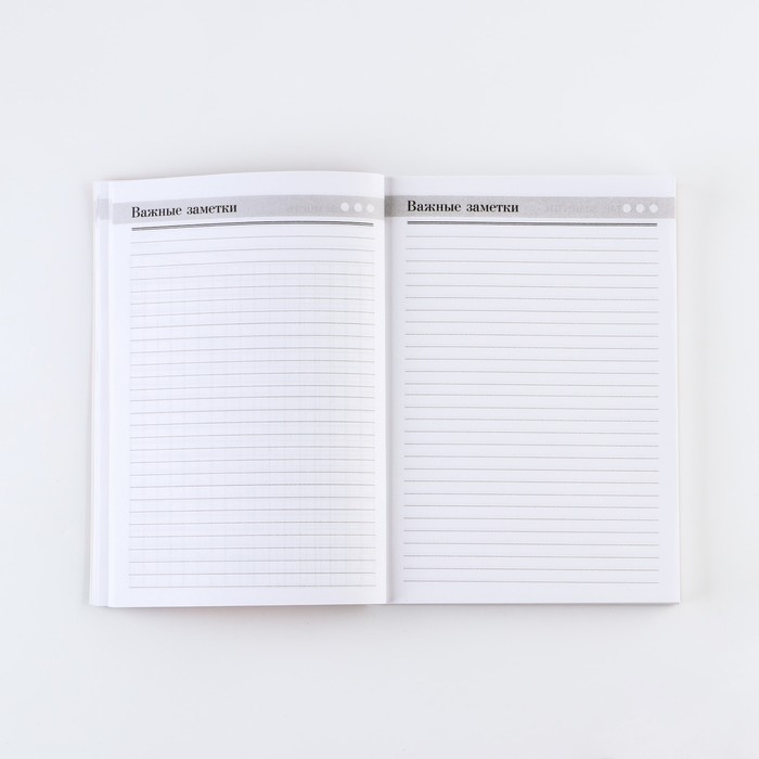 Ежедневник «Золотому учителю», формат А5, 160 листов, мягкая обложка Ежедневник «Золотому учителю», формат А5, 160 листов, мягкая обложка