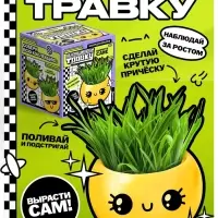 Набор для опытов, для детей &laquo;Выращиваем травку&raquo;, растение в горшочке - эмодзи &laquo;Милый&raquo;