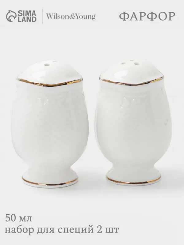 Набор для специй WY Empire, солонка и перечница, 50 мл, фарфор, белый