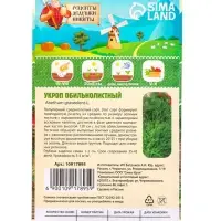 Семена Укроп &laquo;Обильнолистный&raquo;, 2 г