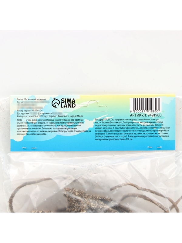 Хоста Colored Hulk, корневище в пакете с торфогрунтом, р-р I, размер M,1 шт.