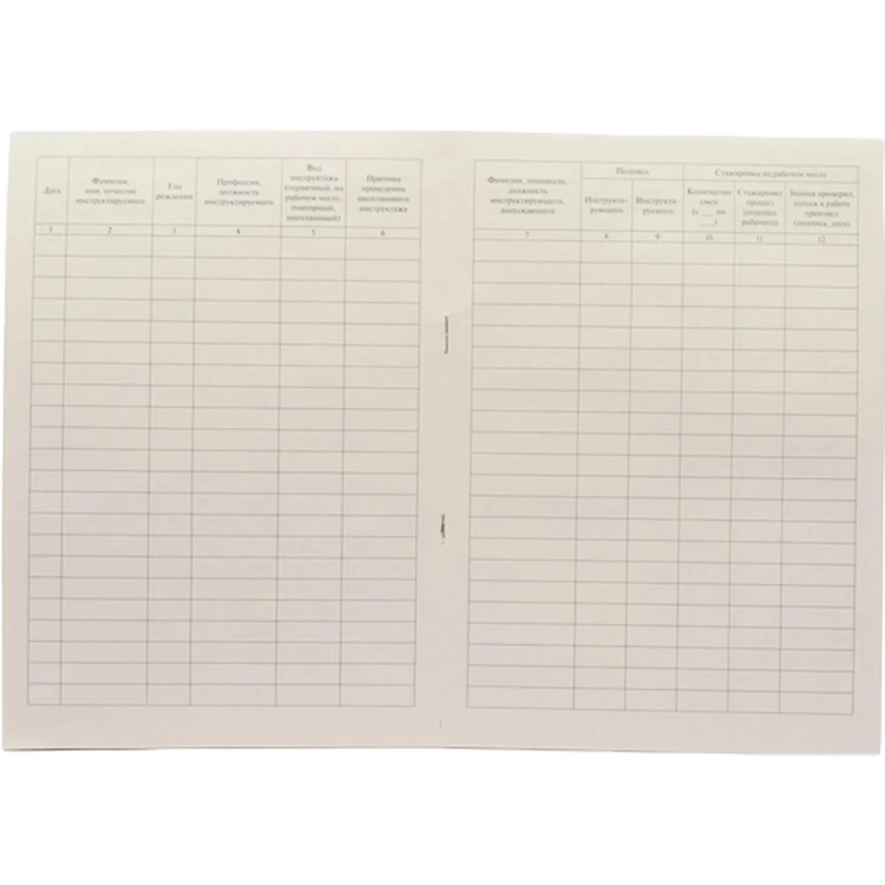 Журнал регистрации инструктажа по технике безопасности 2025