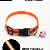 Ошейник "Спорт" со светоотражающей полосой, 31 х 1 см, оранжевый